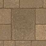 harvest tegula