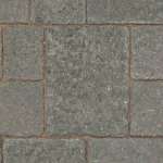 pennant grey tegula